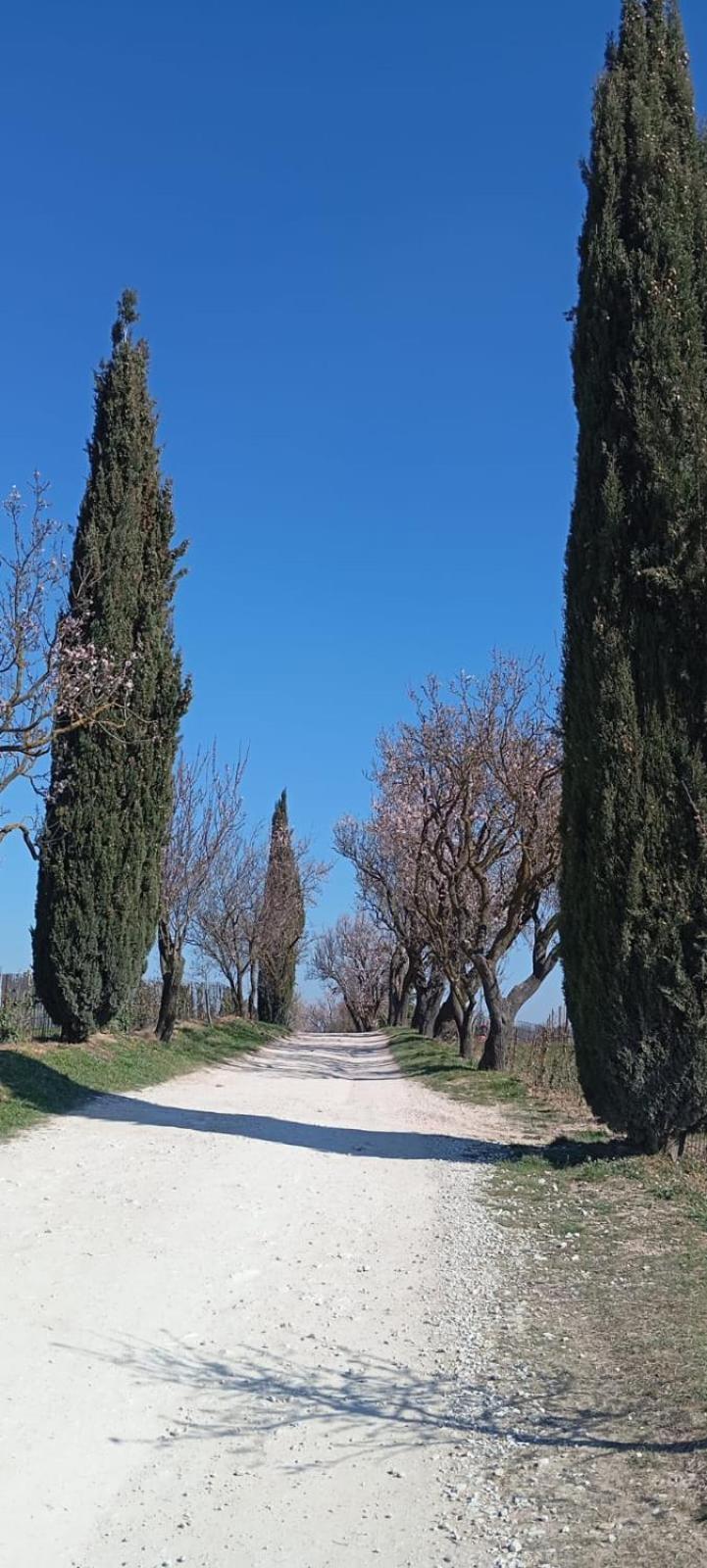 Alloggio La Perla, Quiete Ed Eleganza Con Vista Barbarano Vicentino Екстер'єр фото